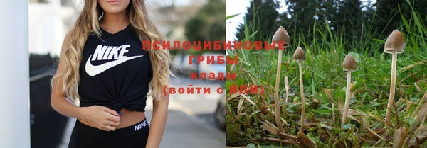 стаф Белокуриха