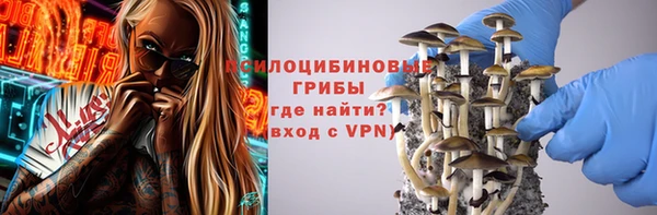 стаф Белокуриха