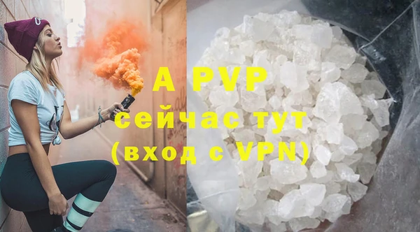 стаф Белокуриха