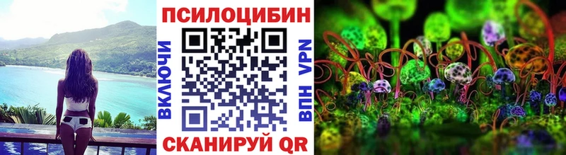 Псилоцибиновые грибы Psilocybe  blacksprut как зайти  Ульяновск 